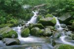 Bilder